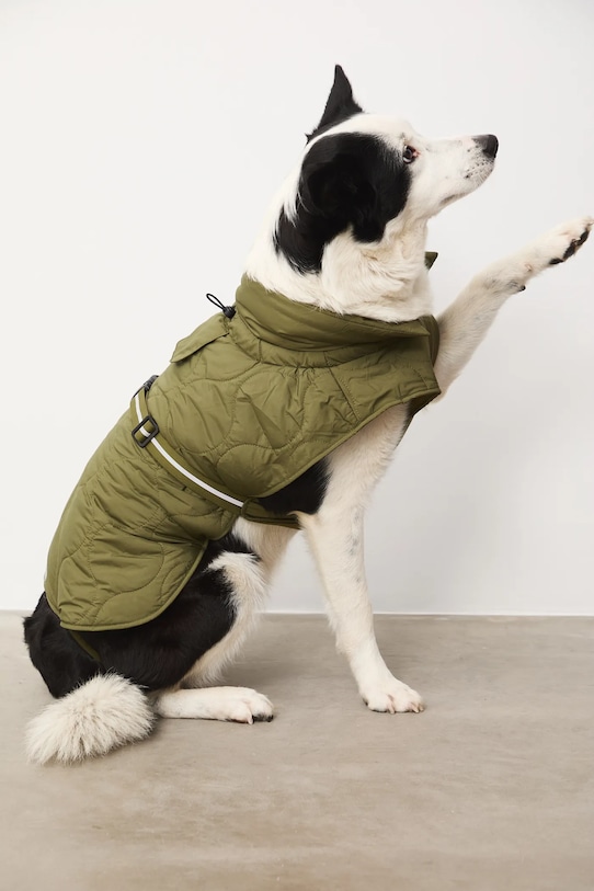 Bunda pro mazlíčka prošívaná RW25-KUU801 zelená RW25