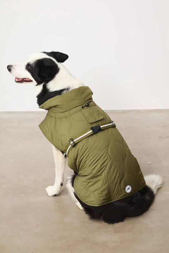 Jakna za kužka Medicine zelena RW25-KUU801