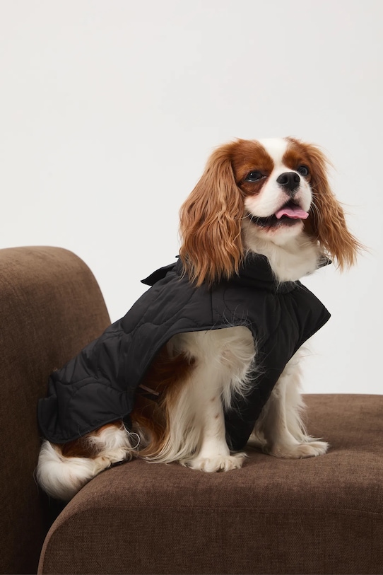 Doplňky Bunda pro mazlíčka prošívaná RW25-KUU801 černá