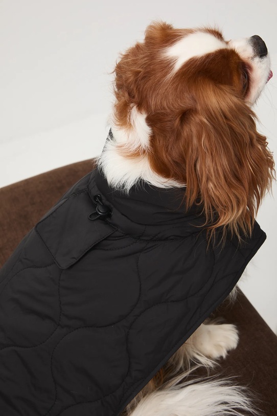 Bunda pro mazlíčka prošívaná RW25-KUU801