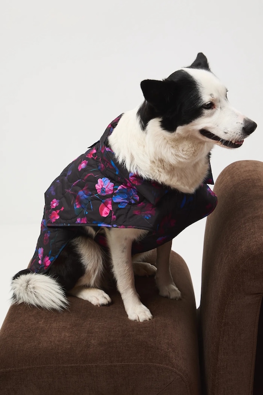 Bunda pro mazlíčka prošívaná RW25-KUU801 vícebarevná