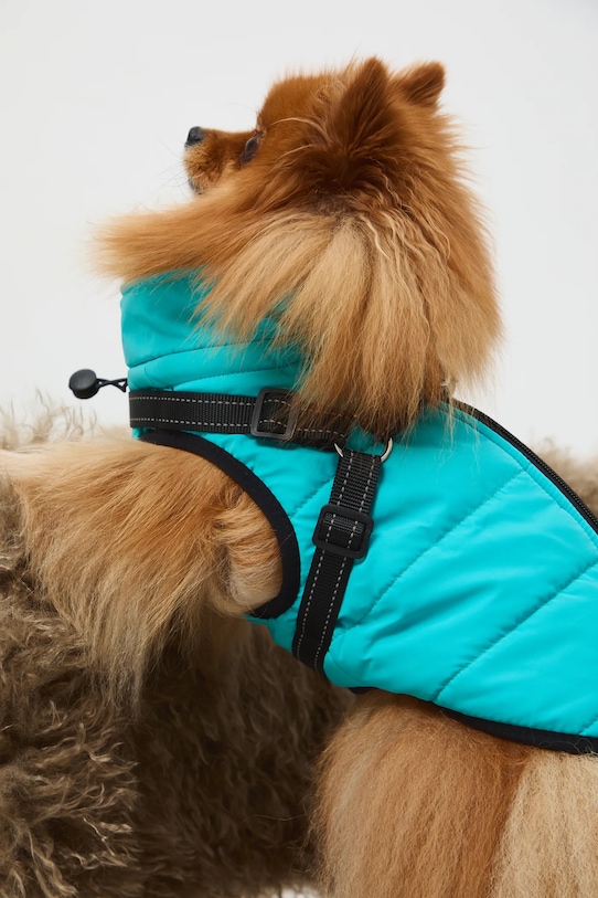 Kurtka dla pupila wodoodporna RW25-KUU802 turkusowy RW25