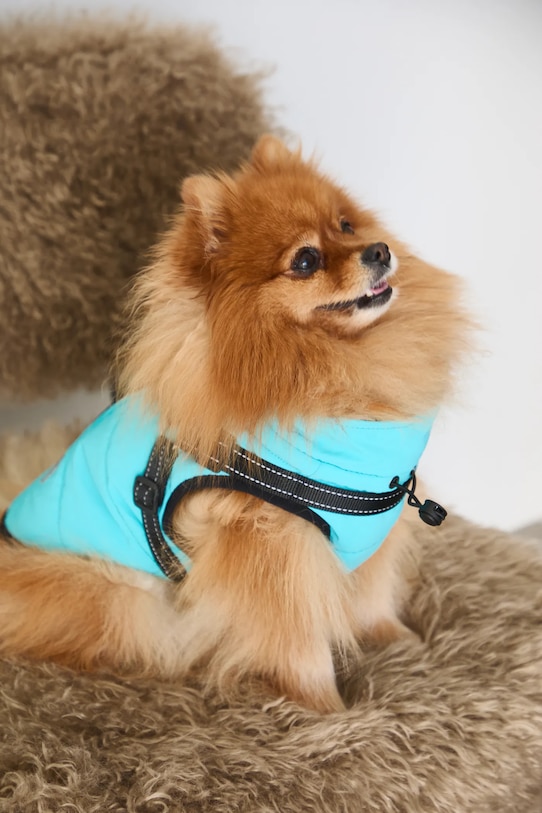 Kurtka dla pupila wodoodporna turkusowy RW25-KUU802