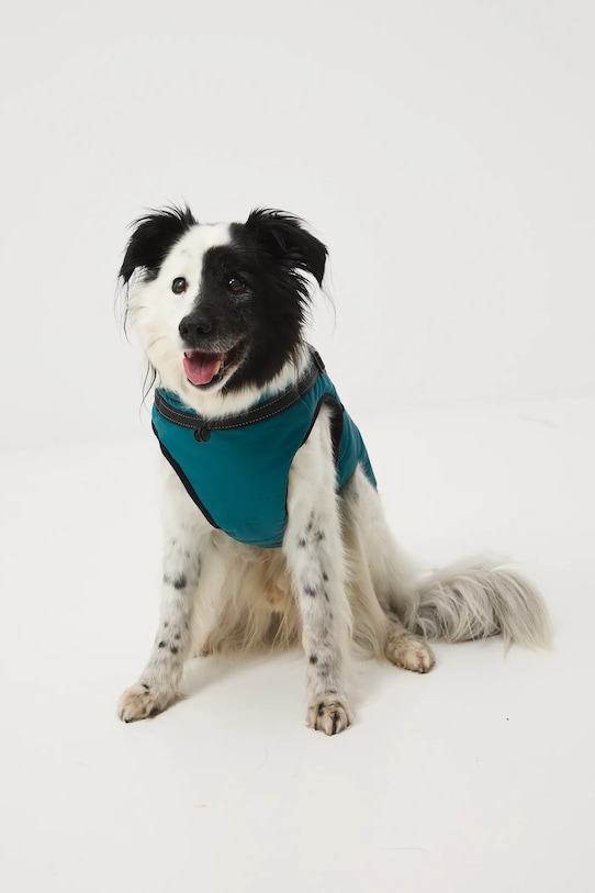 Medicine giacca per animali RW25-KUU802 verde RW25