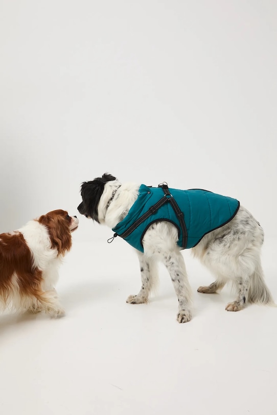 Medicine giacca per animali RW25-KUU802 verde
