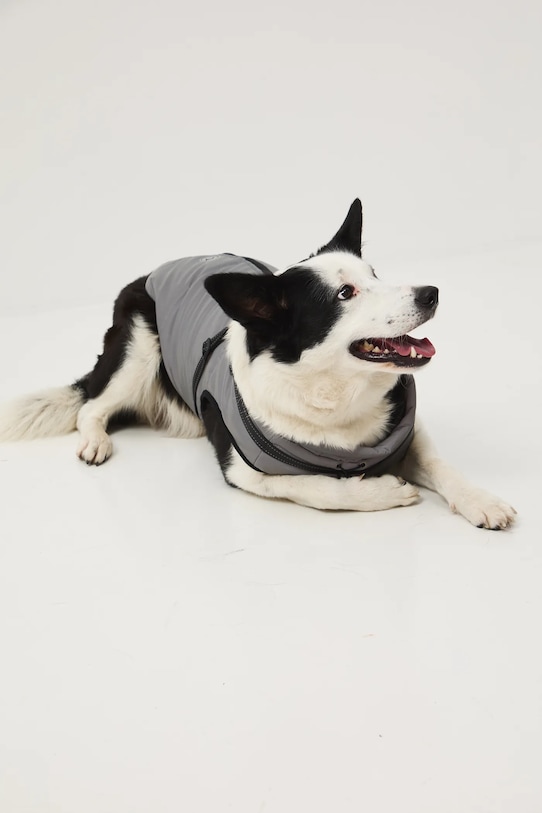 Medicine kurtka dla pupila srebrny RW25-KUU802