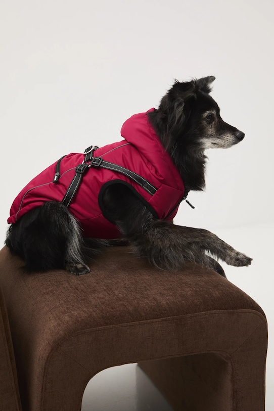 Medicine giacca per animali granata RW25-KUU904