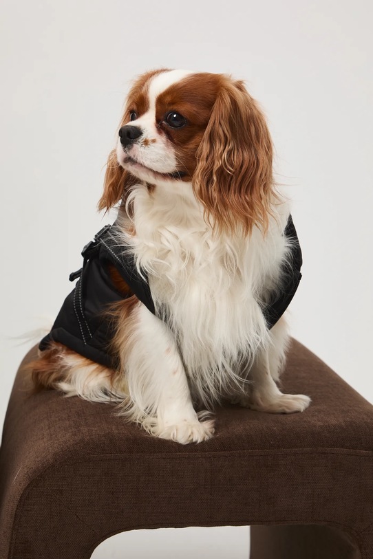 Medicine kurtka dla pupila czarny RW25-KUU904