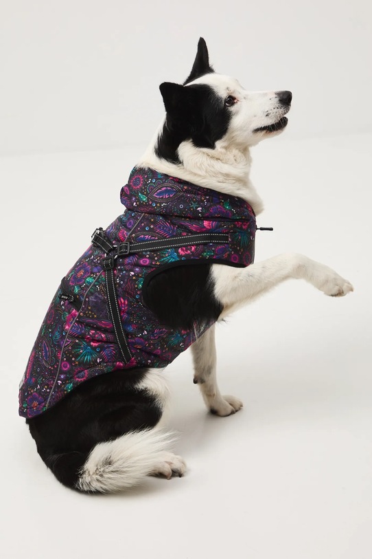 Medicine kurtka dla pupila multicolor RW25-KUU904