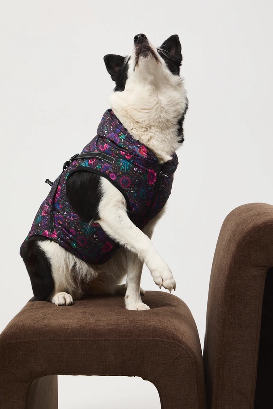 Doplňky Bunda pro mazlíčka voděodolný povrch RW25-KUU904 vícebarevná