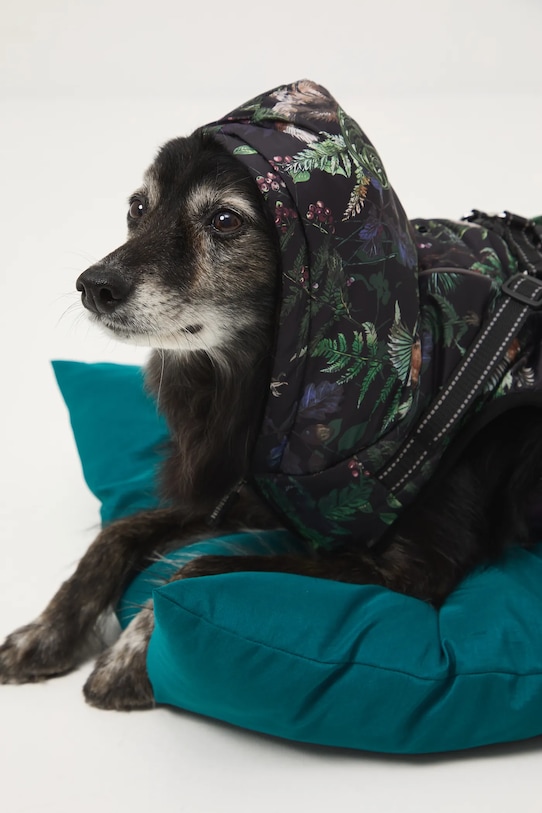 Doplňky Bunda pro mazlíčka voděodolný povrch RW25-KUU904 vícebarevná