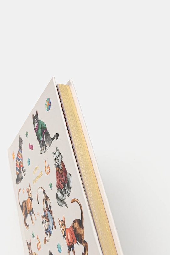 Medicine planer RW25-PAU801 multicolor