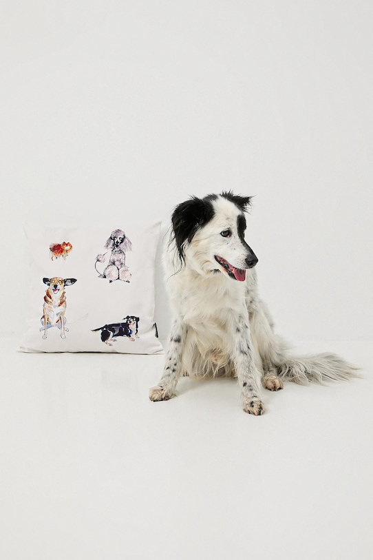 Medicine poszewka dekoracyjna na poduszkę 2-pack RW25-PSU450 multicolor RW25