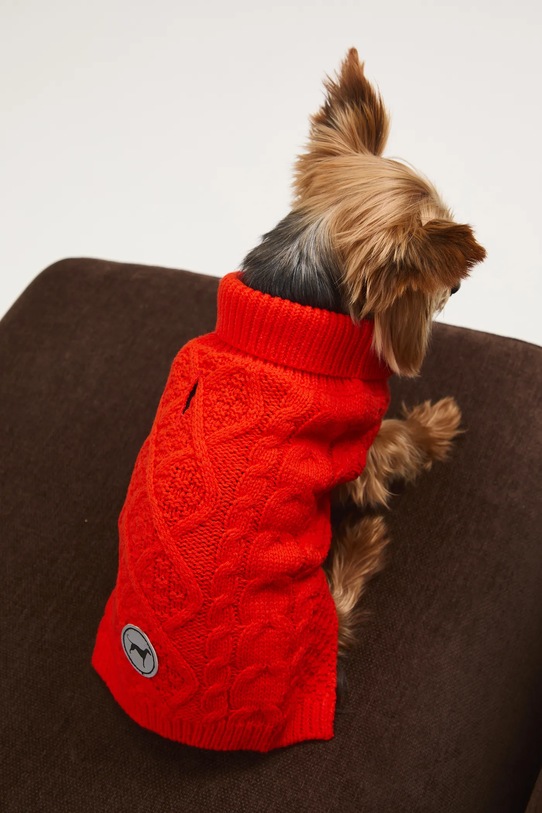 Medicine sweter dla pupila RW25-SWU090 pomarańczowy RW25