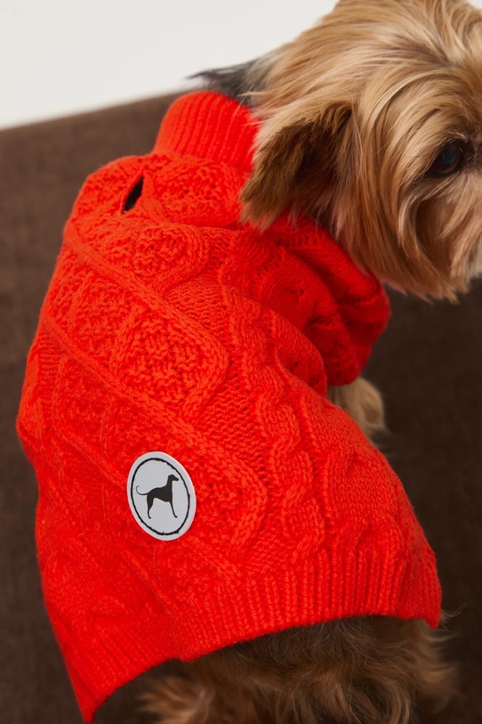 Lifestyle Medicine sweter dla pupila RW25-SWU090 pomarańczowy