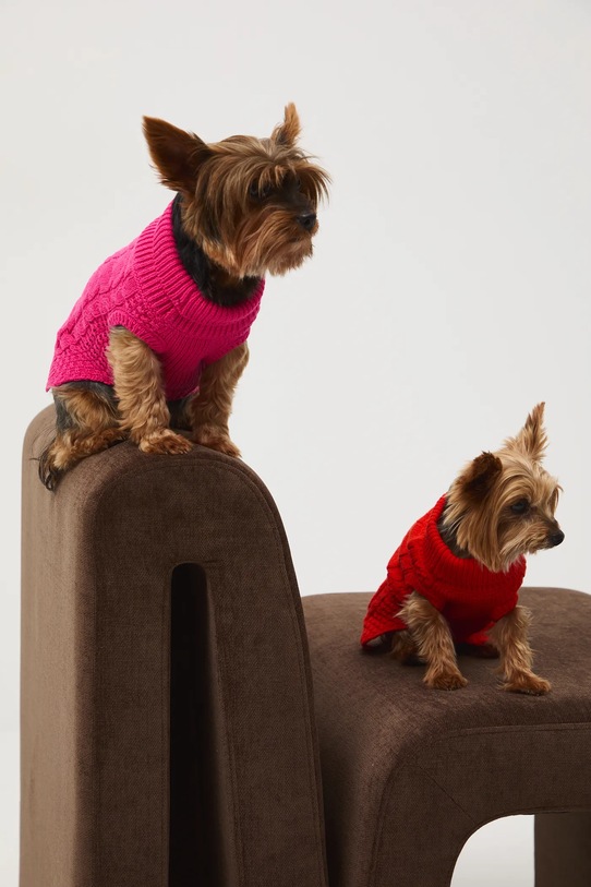 Lifestyle Medicine sweter dla pupila RW25-SWU090 różowy