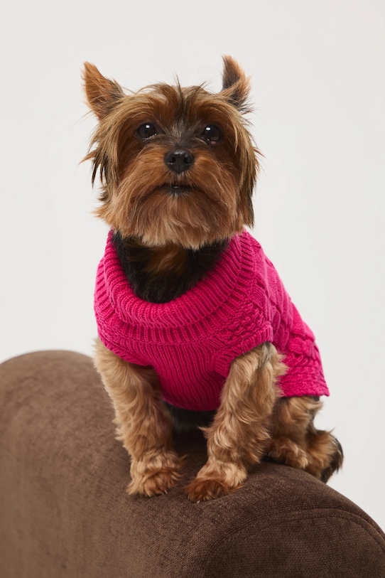 Medicine sweter dla pupila RW25-SWU090 różowy