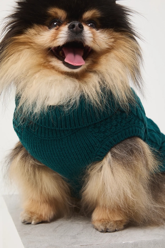 Medicine sweter dla pupila turkusowy RW25-SWU090