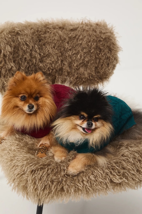 Lifestyle Medicine sweter dla pupila RW25-SWU090 bordowy