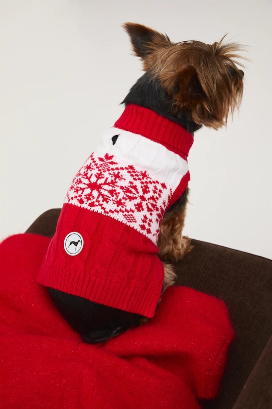 Medicine sweter dla pupila RW25-SWUA01 multicolor RW25