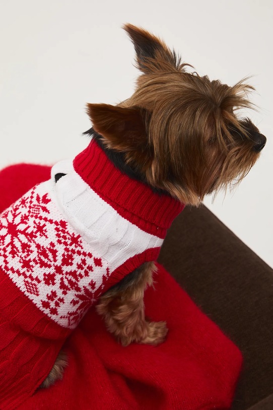 Medicine sweter dla pupila multicolor RW25-SWUA01