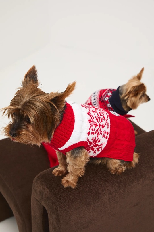 Medicine sweter dla pupila RW25-SWUA01 multicolor