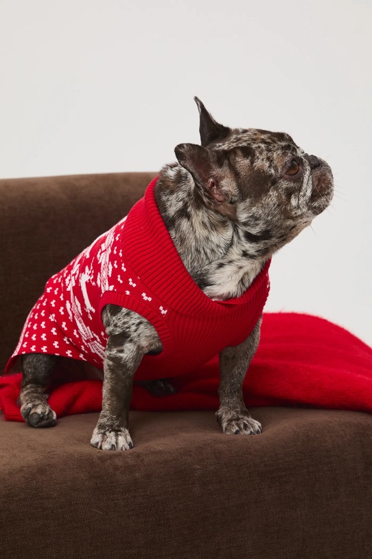 Sweter dla pupila żakardowy wzorzysty czerwony RW25-SWUA04