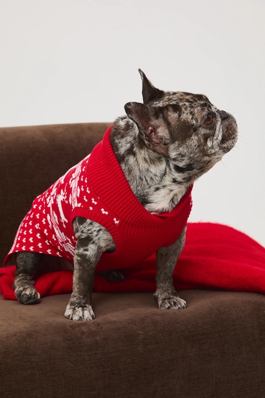 Medicine sweter dla pupila czerwony RW25-SWUA04