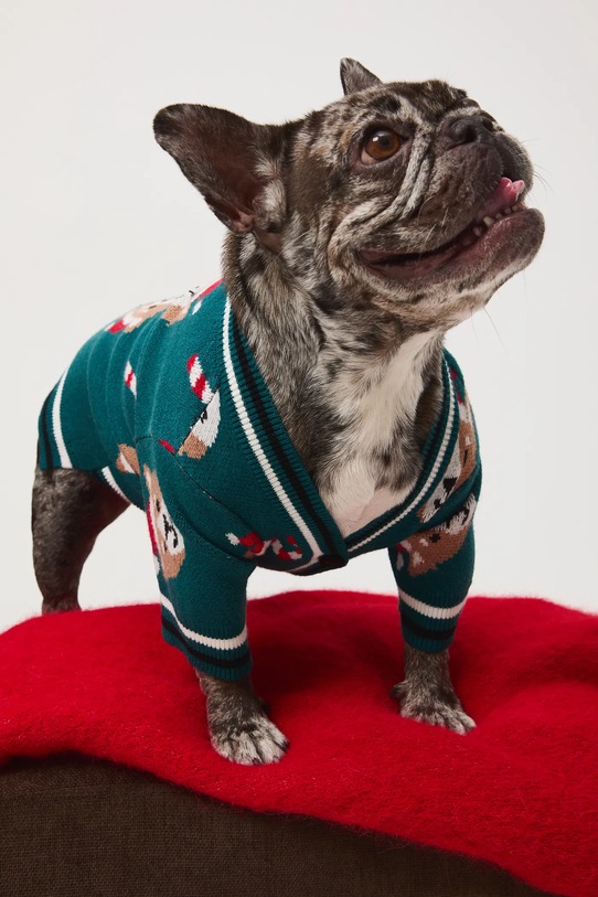 Lifestyle Medicine sweter dla pupila RW25-SWUA05 multicolor