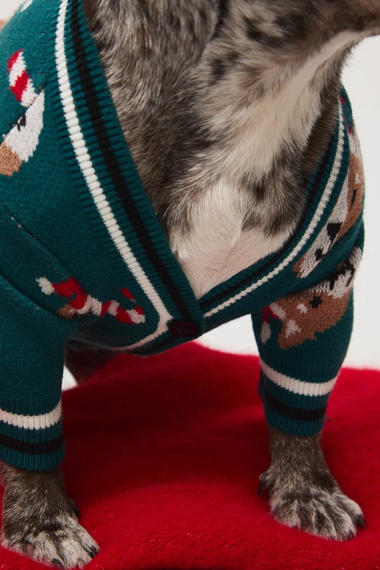 Medicine sweter dla pupila multicolor RW25-SWUA05