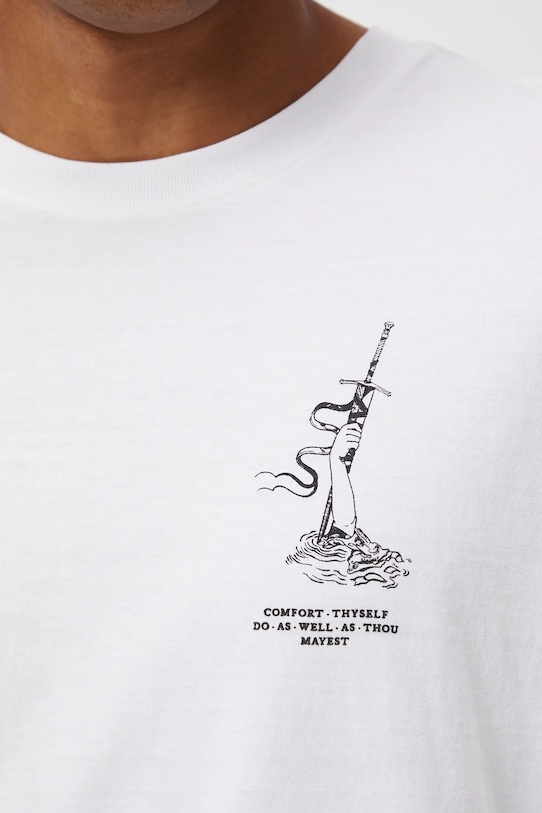 T-shirt bawełniany męski z kolekcji Lands of Legends – Avalon RW25-TSM253