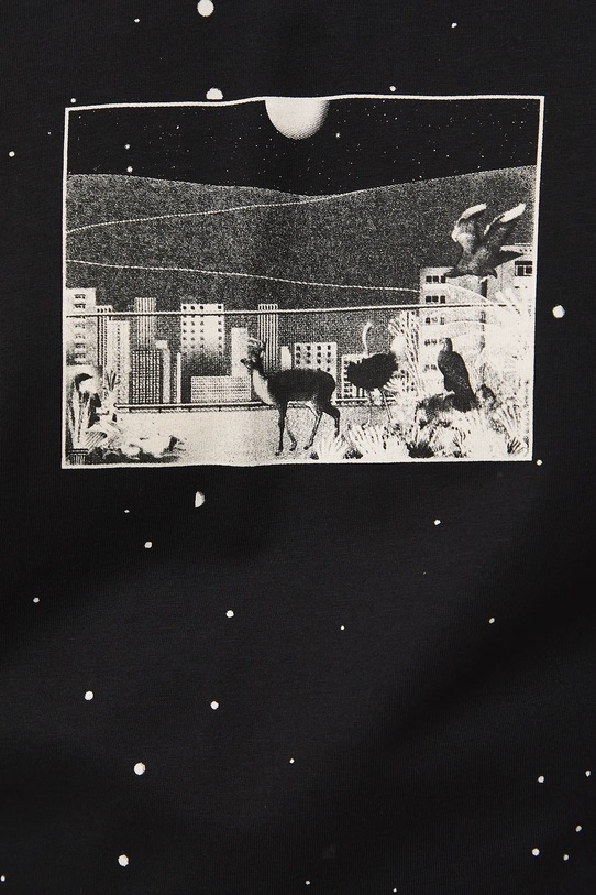T-shirt bawełniany męski z kolekcji Tajemniczy Świat Medicine RW25-TSM558