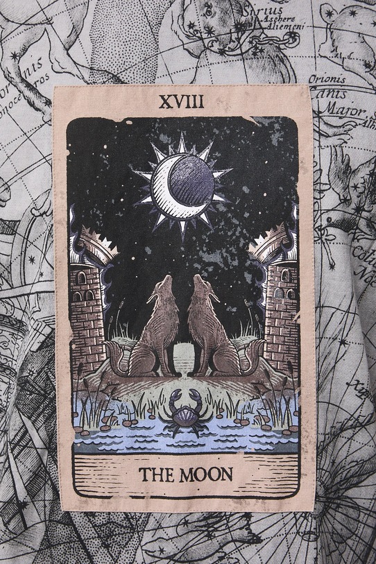 T-shirt bawełniany męski wzorzysty RW25-TSMC15 szary