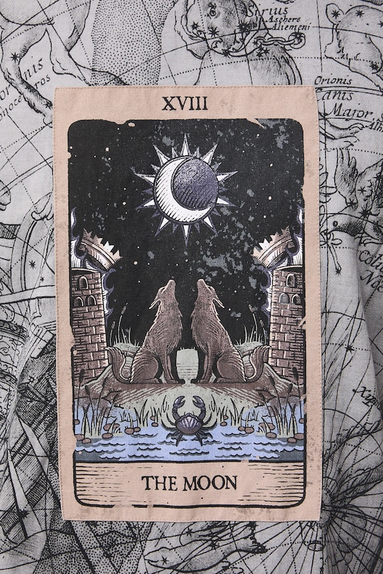 T-shirt bawełniany męski wzorzysty RW25-TSMC15 szary