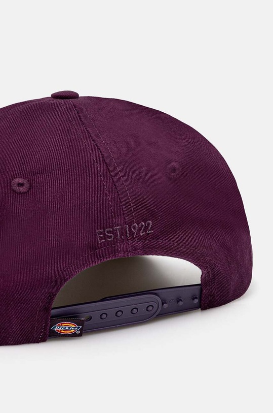 Doplnky Čiapka Dickies DK0A4TKVBLK1 fialová