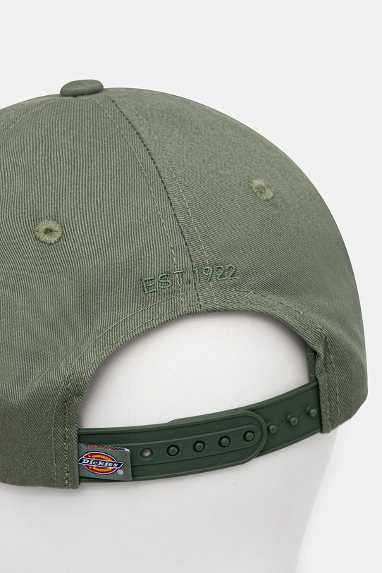 Аксессуары Кепка Dickies DK0A4TKVBLK1 зелёный