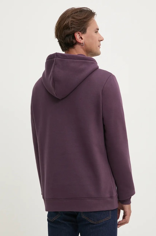 Îmbrăcăminte Dickies bluza DK0A4XCBBLK violet