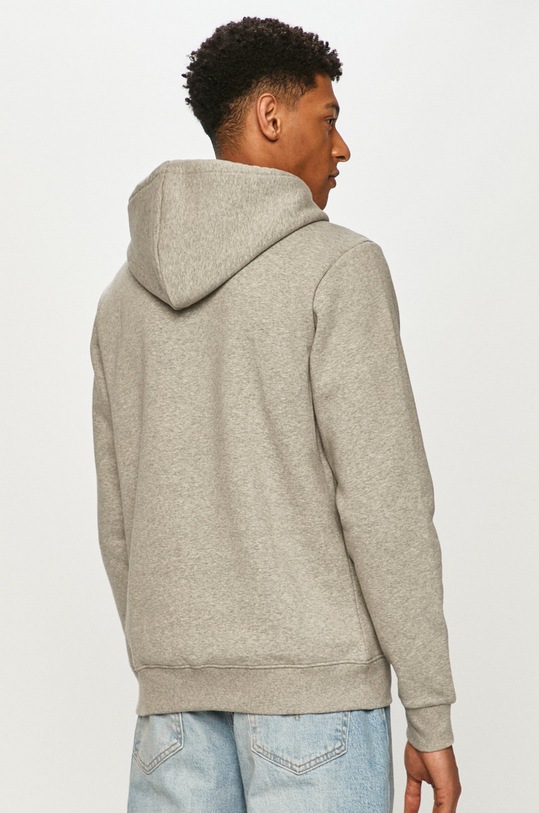 Odzież Dickies Bluza DK0A4XCBGYM szary