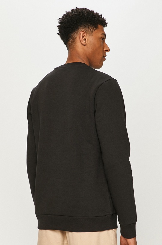 Odzież Dickies Bluza DK0A4XCIBLK czarny