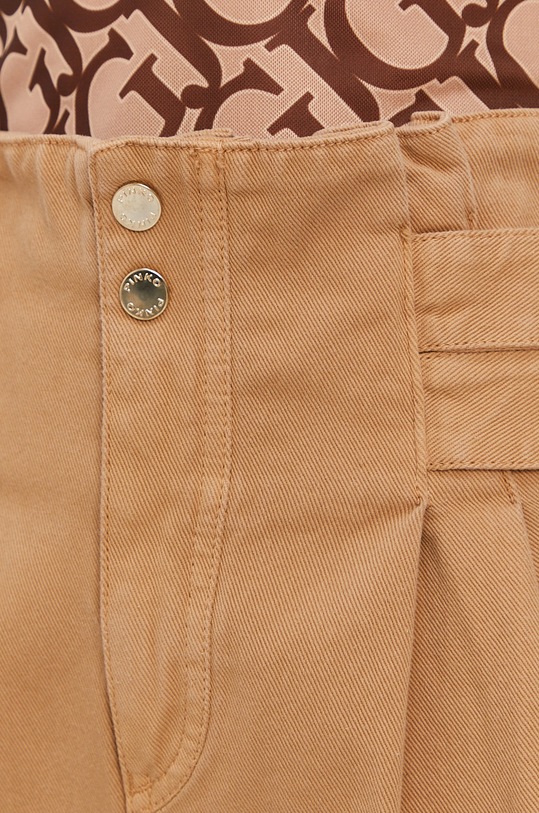 Pinko Spodnie brązowy 1J10MZ.Y6Z3