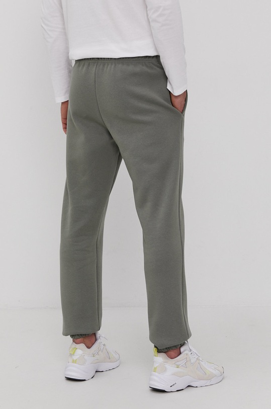 Oblečenie Nohavice The North Face NF0A55UTV381 zelená