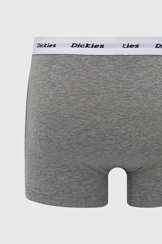 Dickies bokserki (2-pack) DK0A4XOEAS0 multicolor SS24