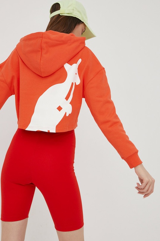 Odzież Kangol bluza bawełniana KLEW008 pomarańczowy