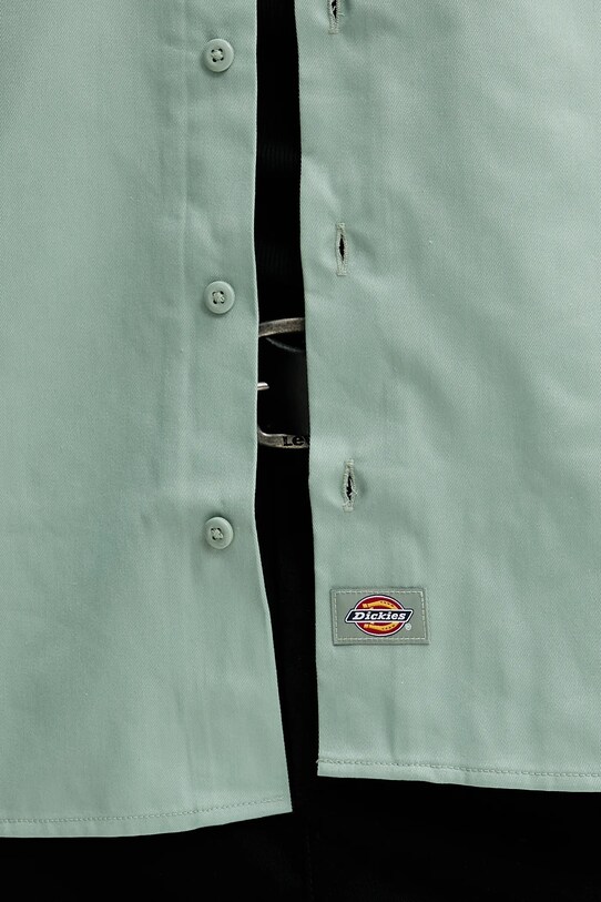 Рубашка Dickies DK0A4XK7BLK зелёный