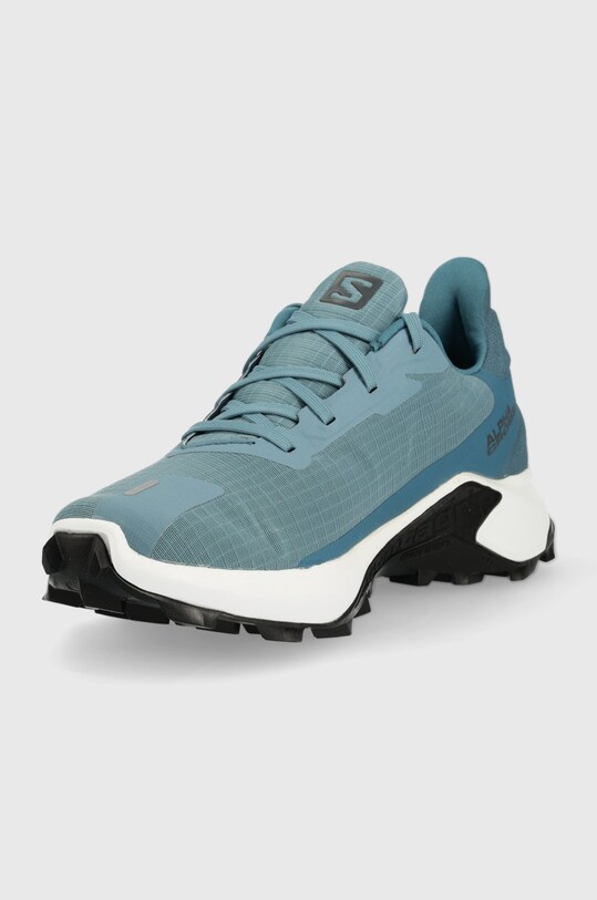 Обувь Ботинки Salomon Alphacross 3 GTX L41447500 голубой