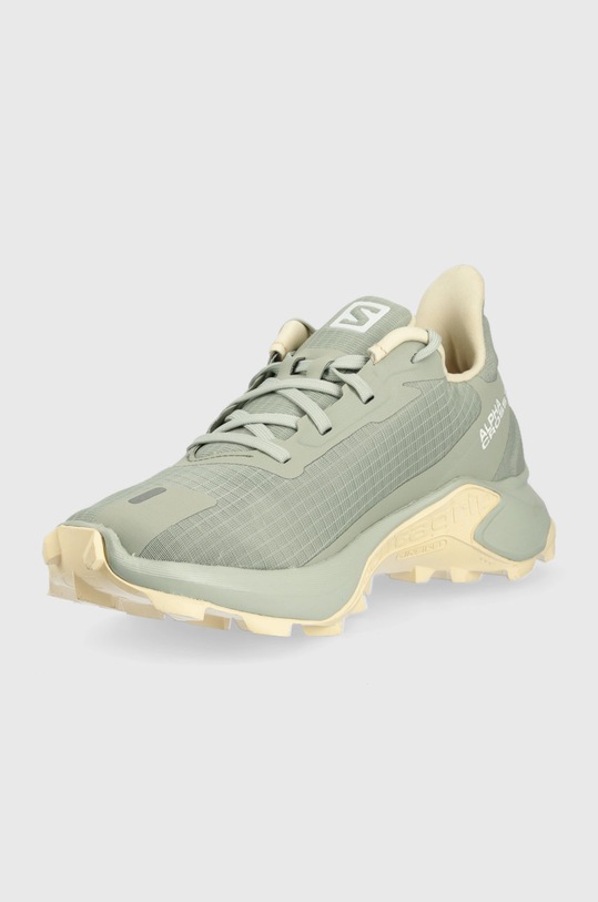 Обувь Ботинки Salomon Alphacross 3 L41600000 бирюзовый
