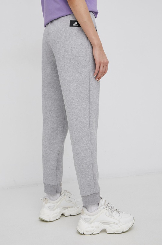 Oblačila Hlače adidas Performance HD6574 siva