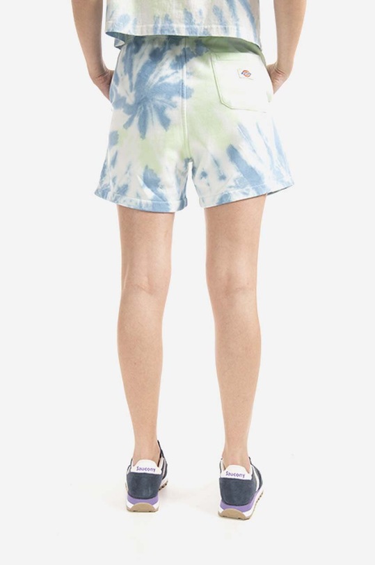 Odzież Dickies szorty bawełniane DK0A4XNLC34 zielony