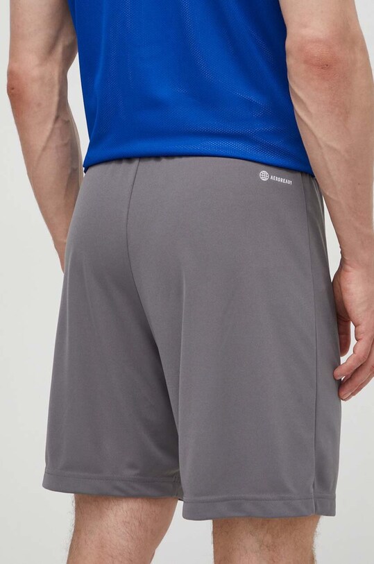 Одежда Тренировочные шорты adidas Performance Entrada 22 H57505 H57505 серый