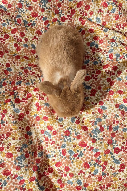 Konges Sløjd pościel bawełniana dla dzieci KS5119 czerwony SS23